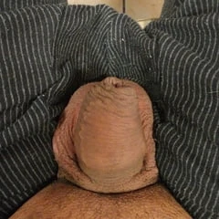 cock