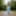 Personal Photos
