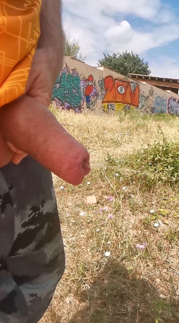 Piss outdoors #24
