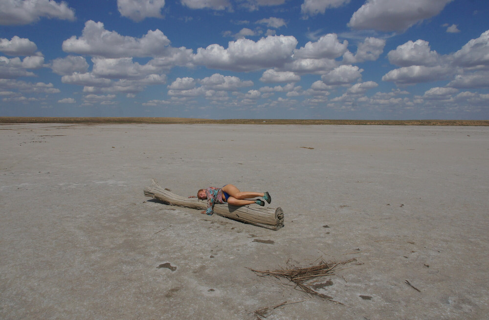 On log in desert #6