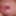 Close up Cock #6