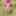 Indian bhabhi fucked outdoor 