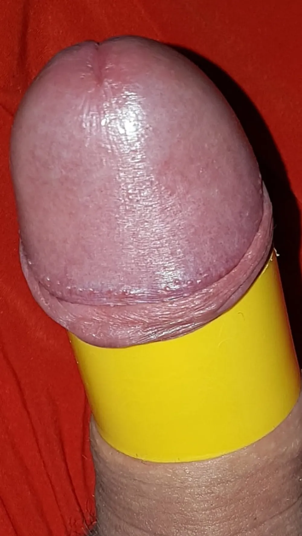 Cock ring #16