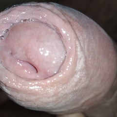 my dick wants