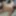 some nude pics