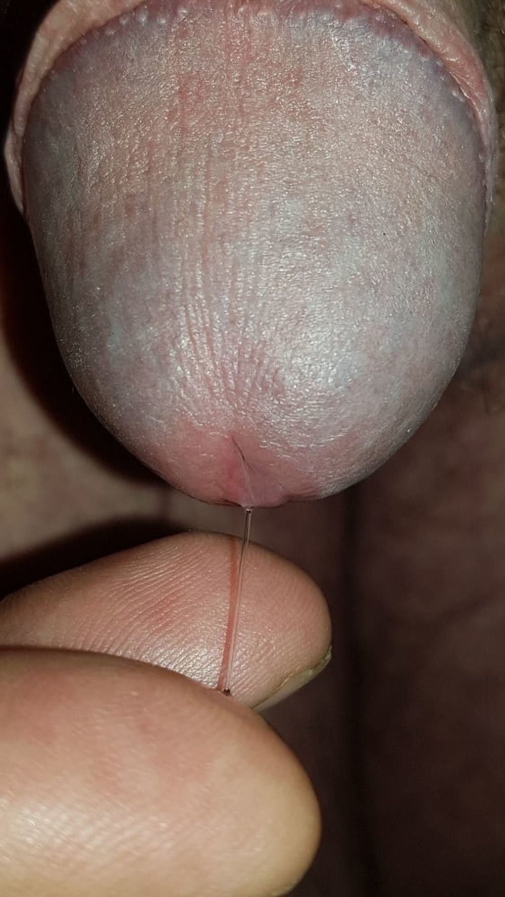 Precum and cum #48