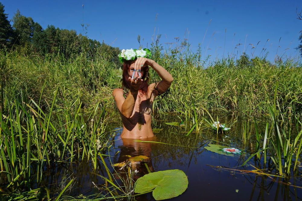 In pond with waterflowers #20