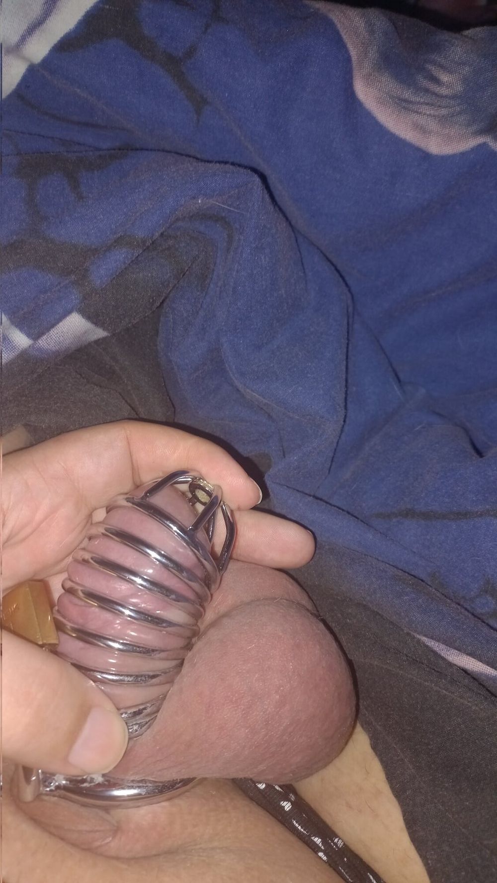 Me In Chastity - Collection #2 - 01.09.2023 Update #2