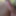 Daily Naked Cock #5