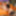  Dani Jensen and Veronica Avluv are neighbors, who are going #4