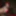 2019 random  #21