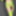 Green Mesh Lingerie #4