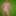 In front of the greenscreen  - 2021/09/18 #8