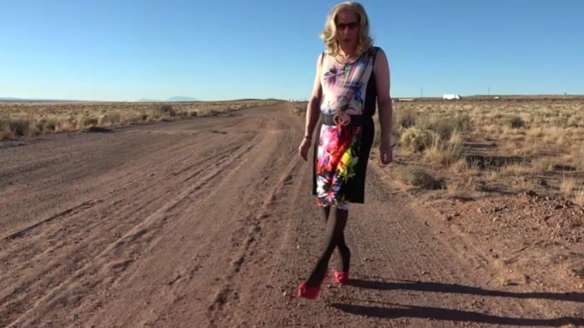 Desert Mustang Lady, Samantha visits Winslow Arizona #5