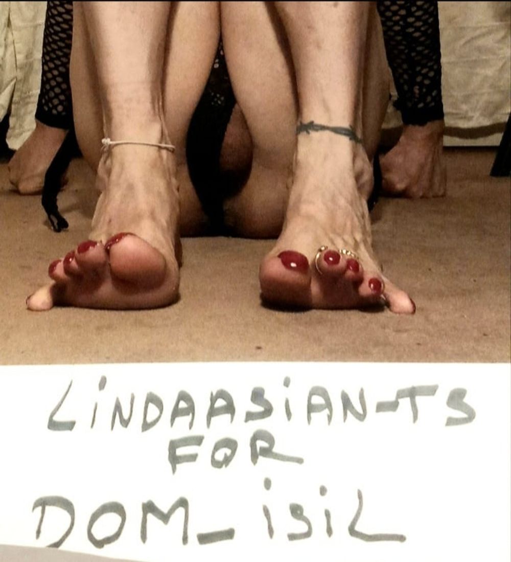 Lindaasian-ts for Master DOM_isil (part 2). #7