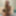 Jessy Free Photos