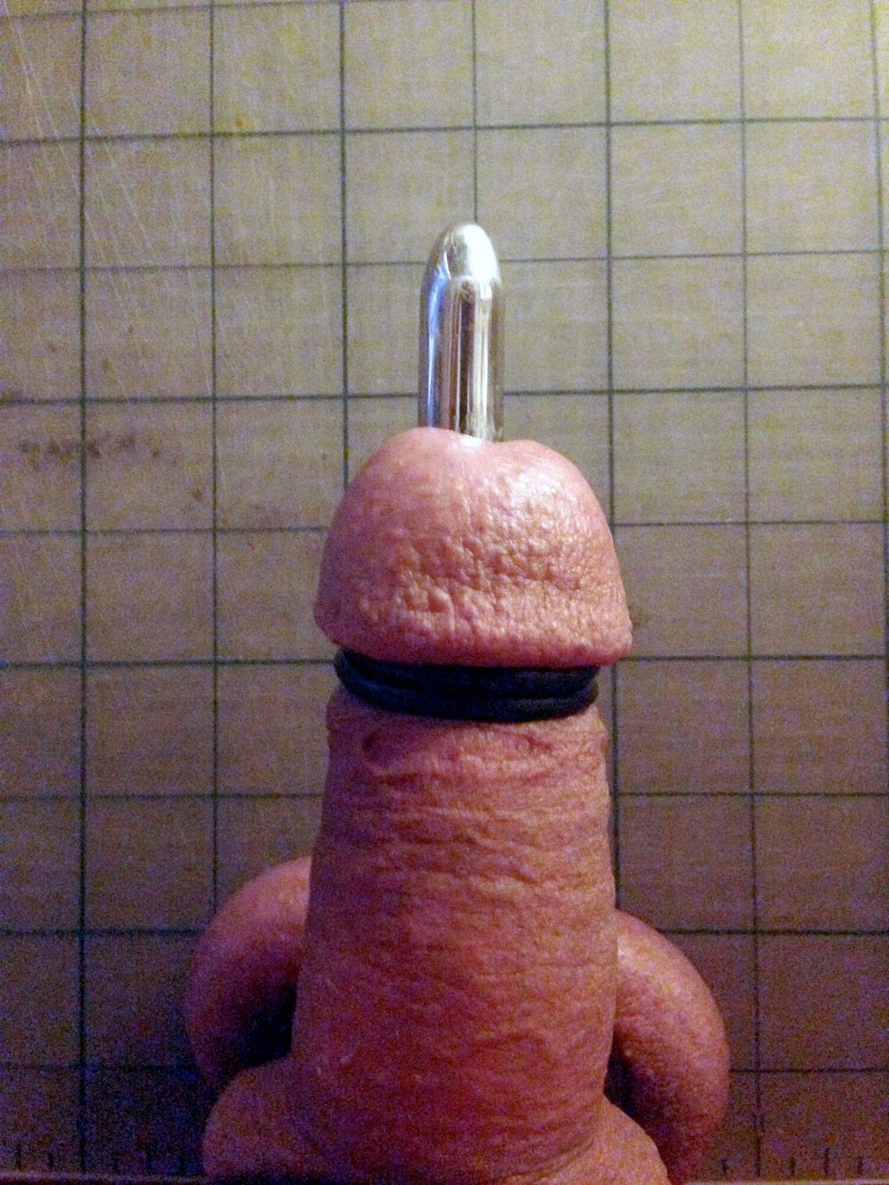 12mm sound going in my cock