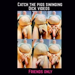 The pig 🐷 