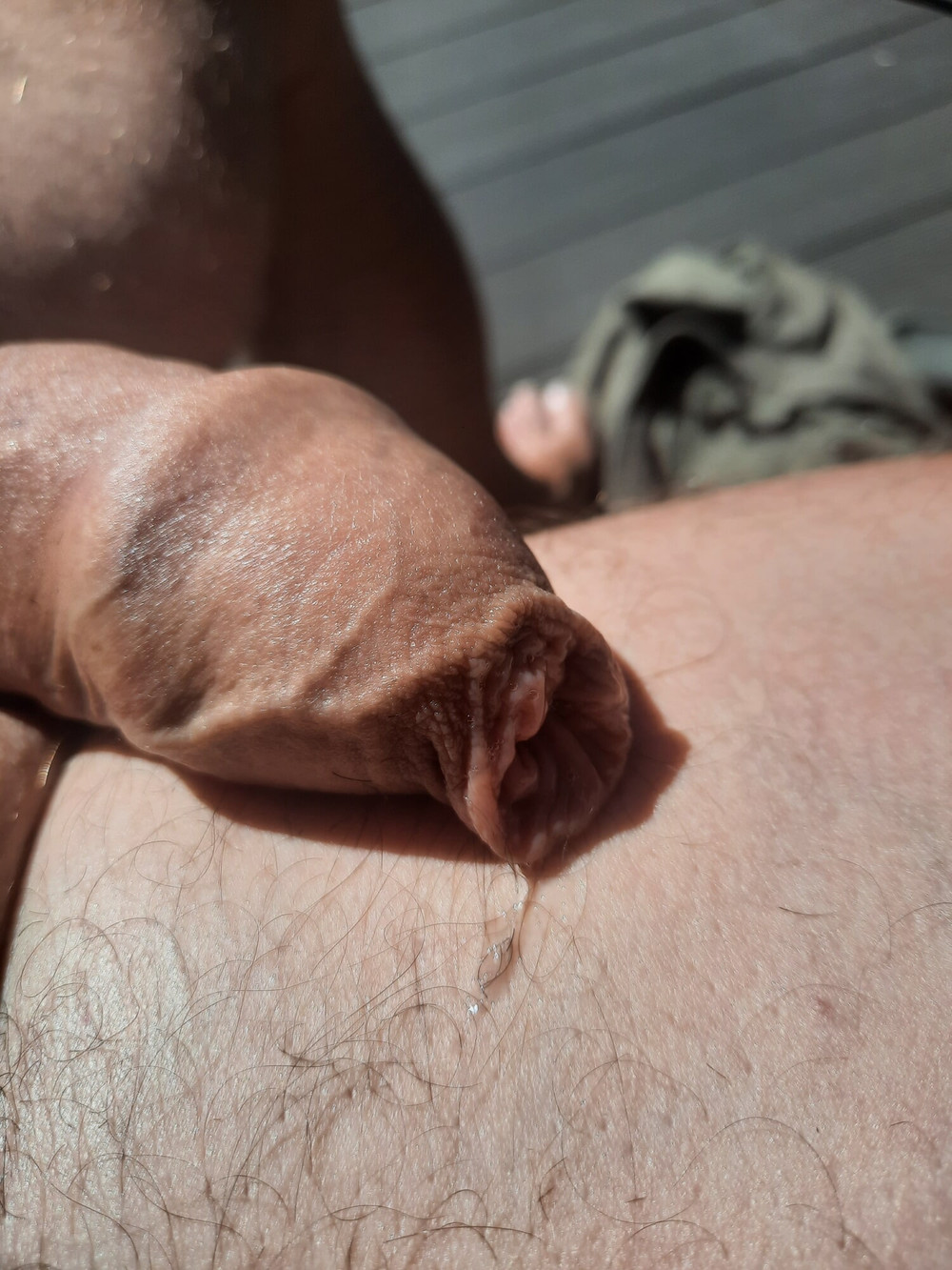 Softy cock 