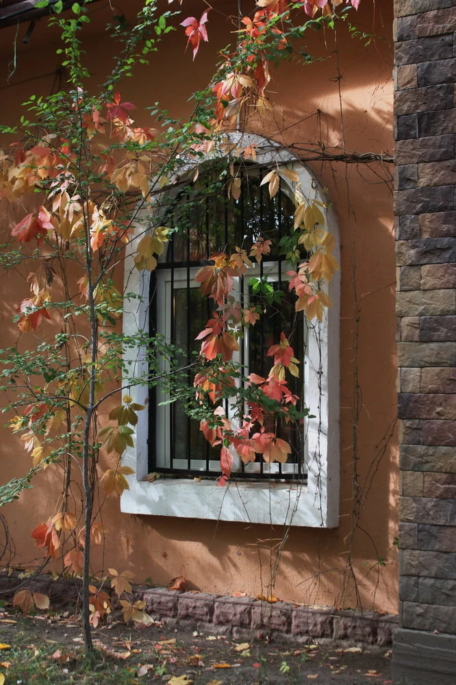 Autumn Story
