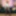 TRANSVR: What The Elf? #2