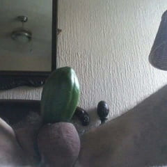 Papaya is tropical