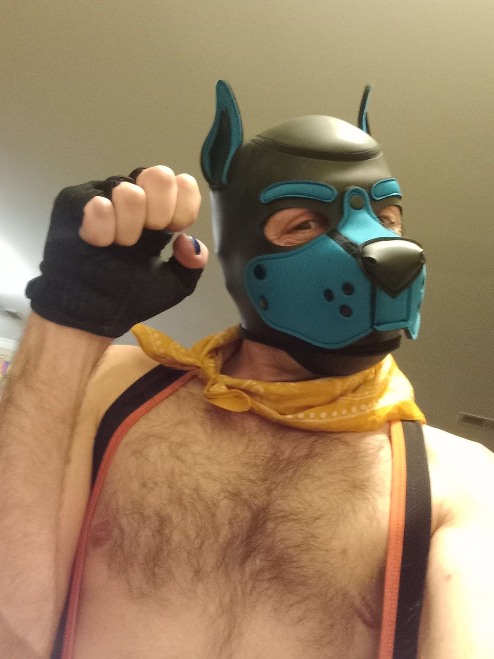 Puppers Showing off in underwear...again #20