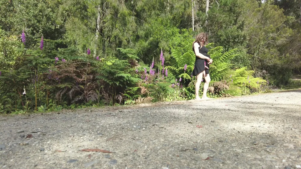 Crossdress Road Trip - Forest Road - Black Dress #5