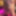 セクシーなソロセッション