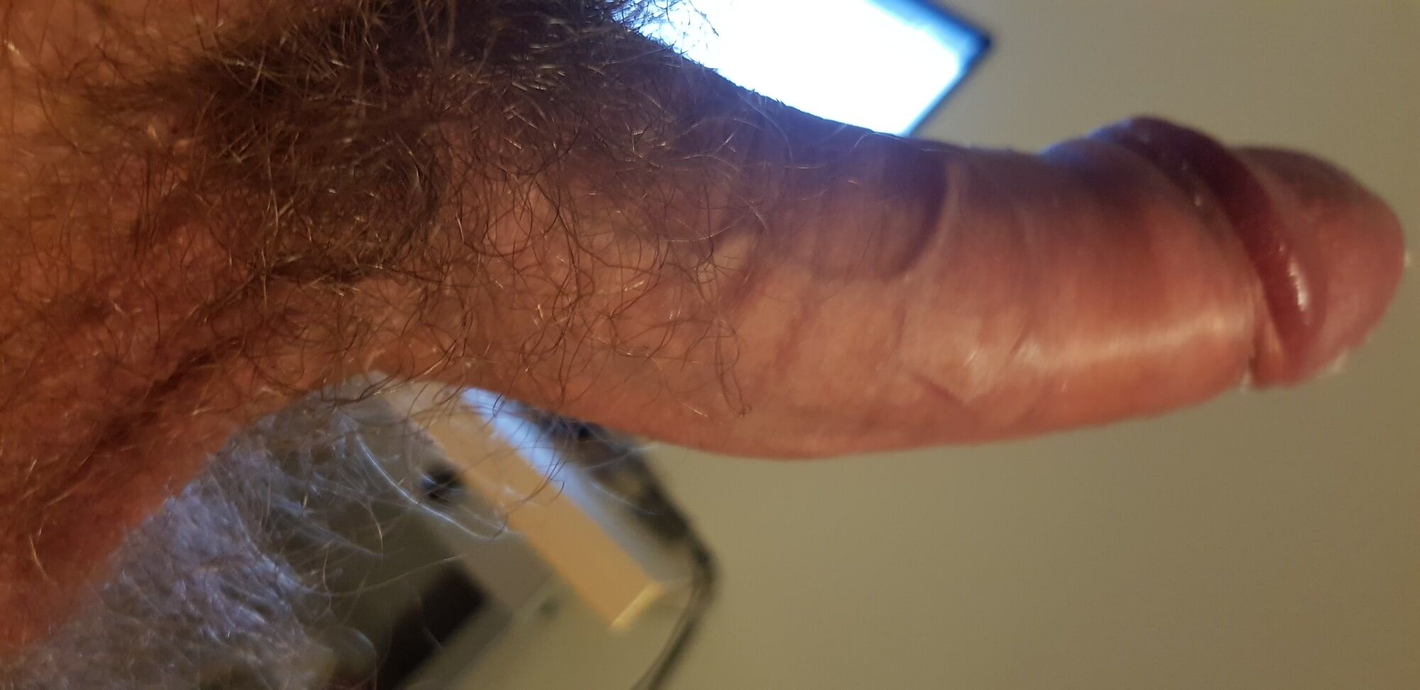 Hard and hairy uncut cock #3