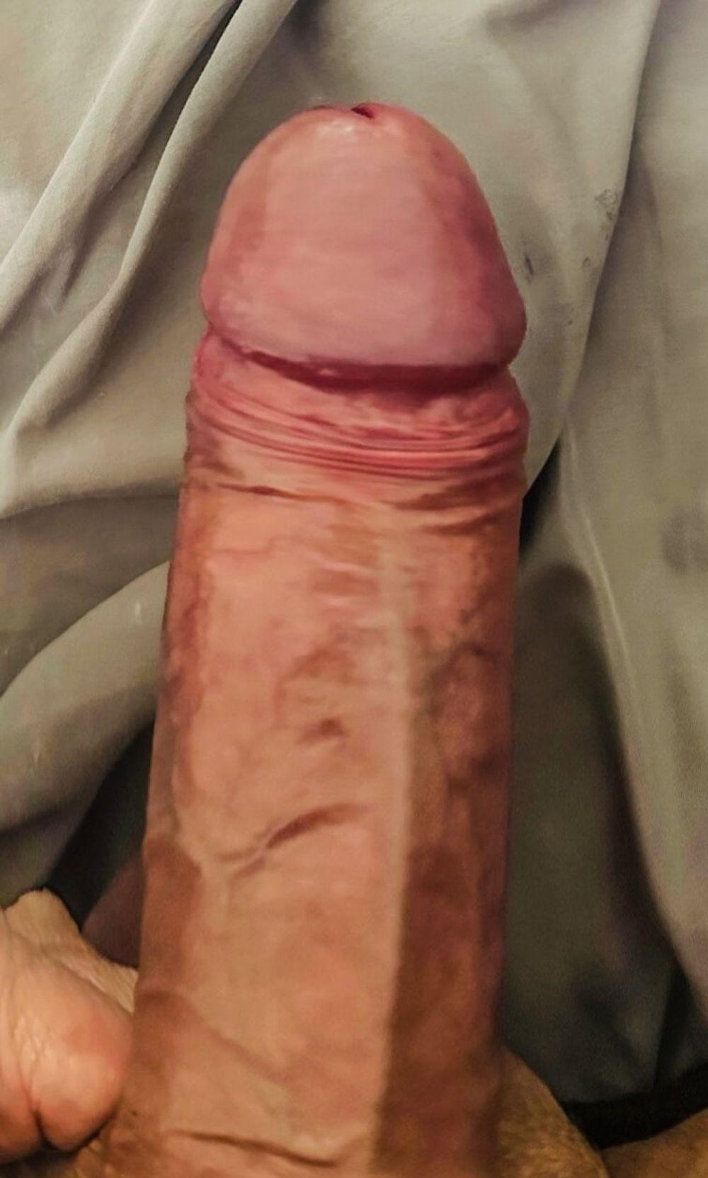 Cock Pics