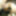 Photo 2016c #11