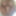 Closeups  #30