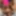Bisexual threesome