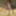 Outdoor Flashing Nudes