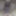 sexy BBW gifs