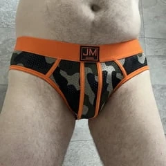 Briefs