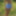 Naked girl 