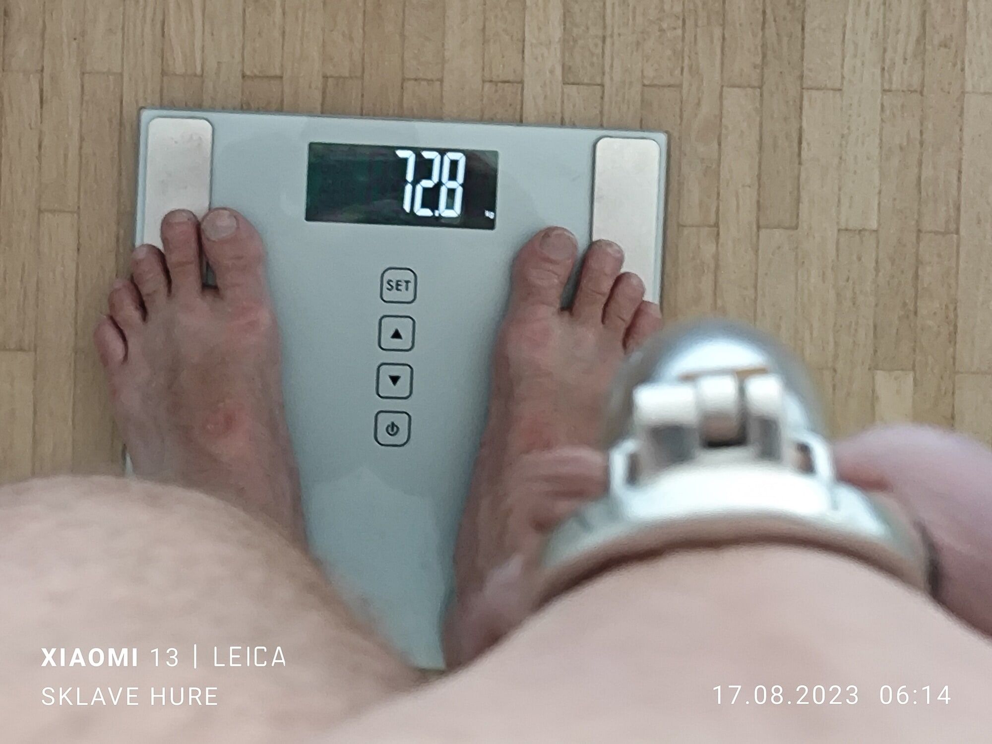 Weighing, Cagecheck, plugcheck on July 17th, 2023 #20