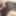 Shino Aoi :: The Prey waitress - CARIBBEANCOM #14