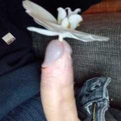 inserting
