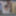 新しいヌード写真