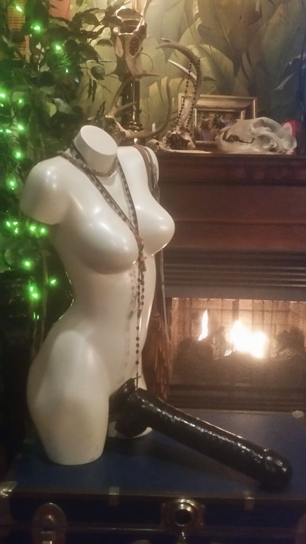 My Favorite Way To Display My Dildos  #4