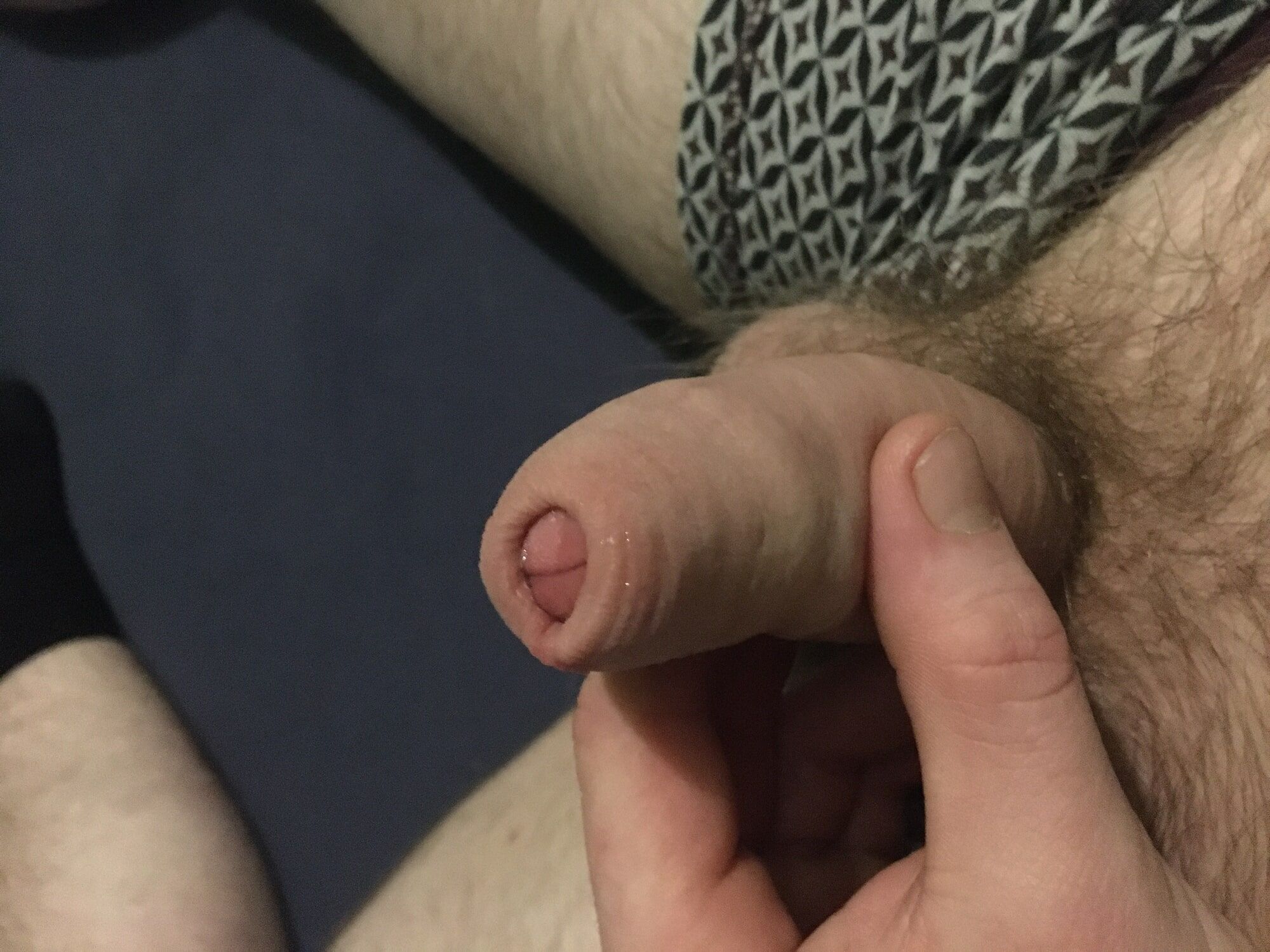 Hairy Dick And Balls Foreskin Pre-cum Play #30