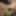 The cucumber fuck #8