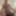 2025 Charlene's updates #6