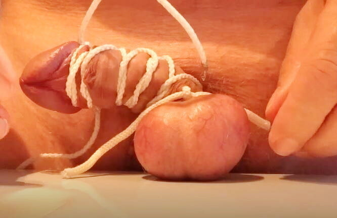 Bounded cock