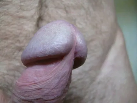 My cock for you