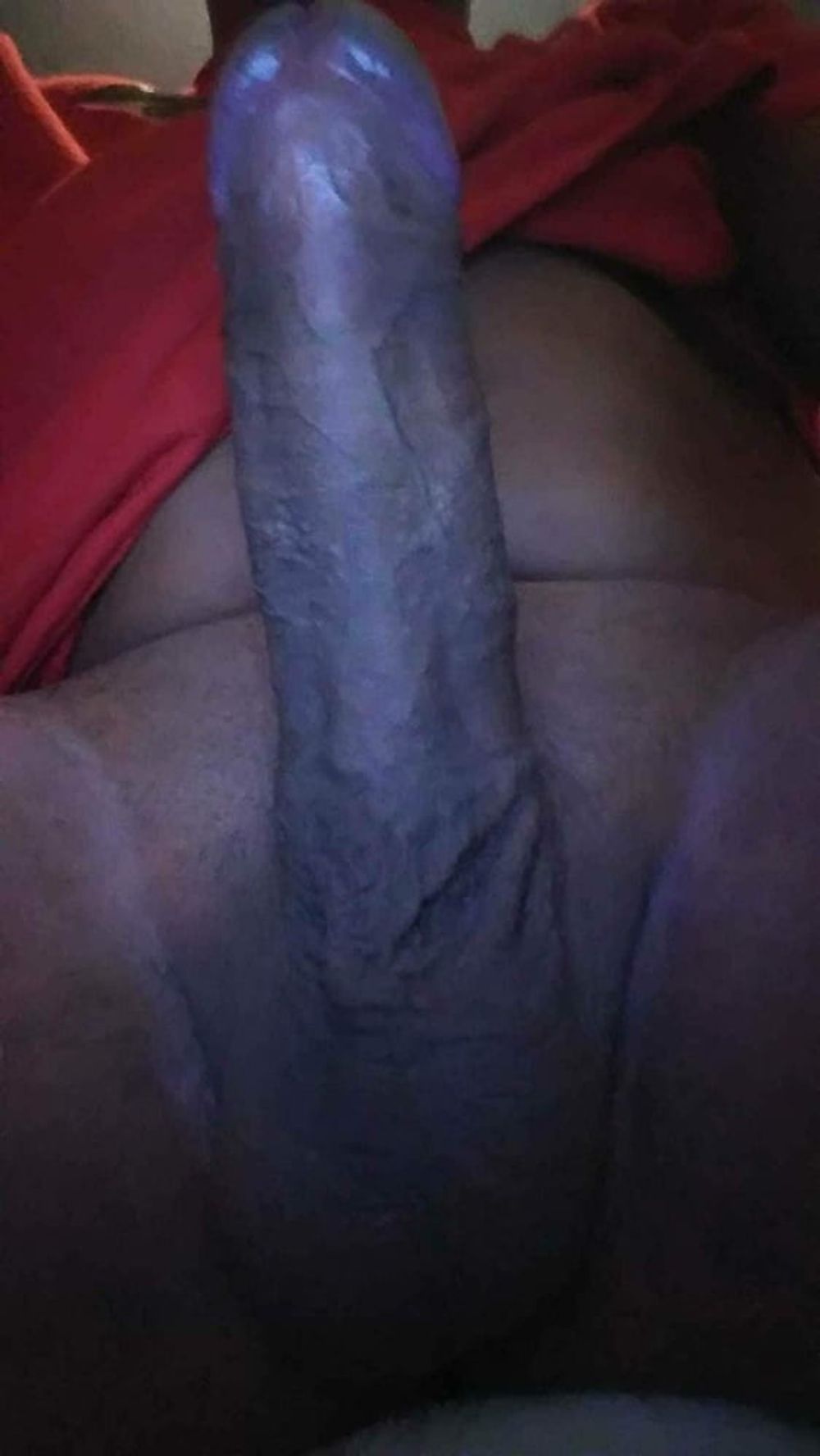 Cocks my followers sent me #20