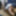 Sissy Ashley Jolene Ass Fucked with a Medium Black Dildo #54